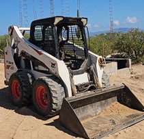 Bobcat White